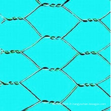 China Factory vend un treillis hexagonal galvanisé à chaud / trempé en PVC (fabricant)